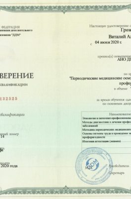 Громовиков Виталий Александрович