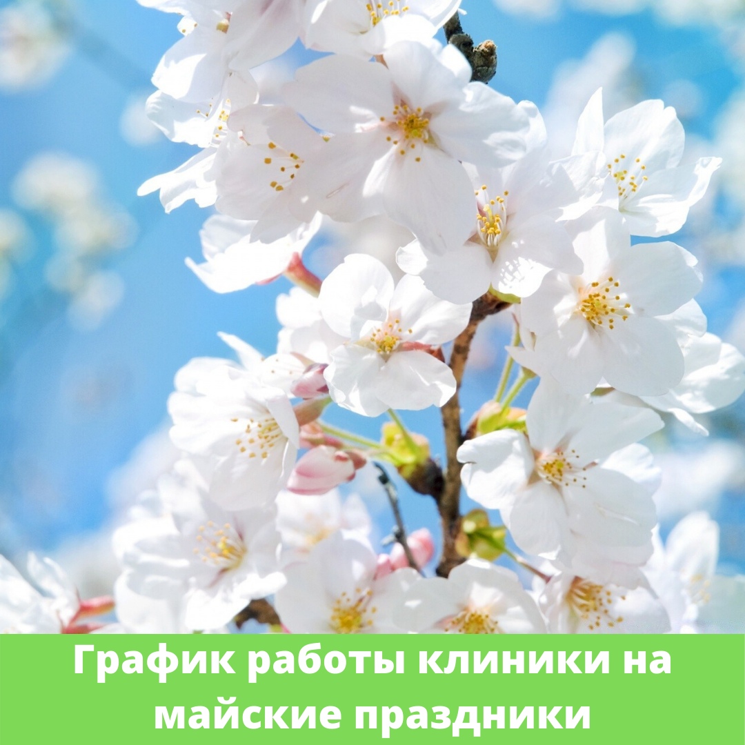 Поздравление православной женщине в прозе. Православное поздравление с днём рождения. Христианские поздравления с днём рождения. С днём рождения христианские поздравления картинки. Красивое православное поздравление с днем рождения.