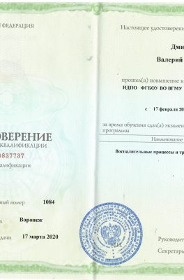 Дмитриев Валерий Викторович