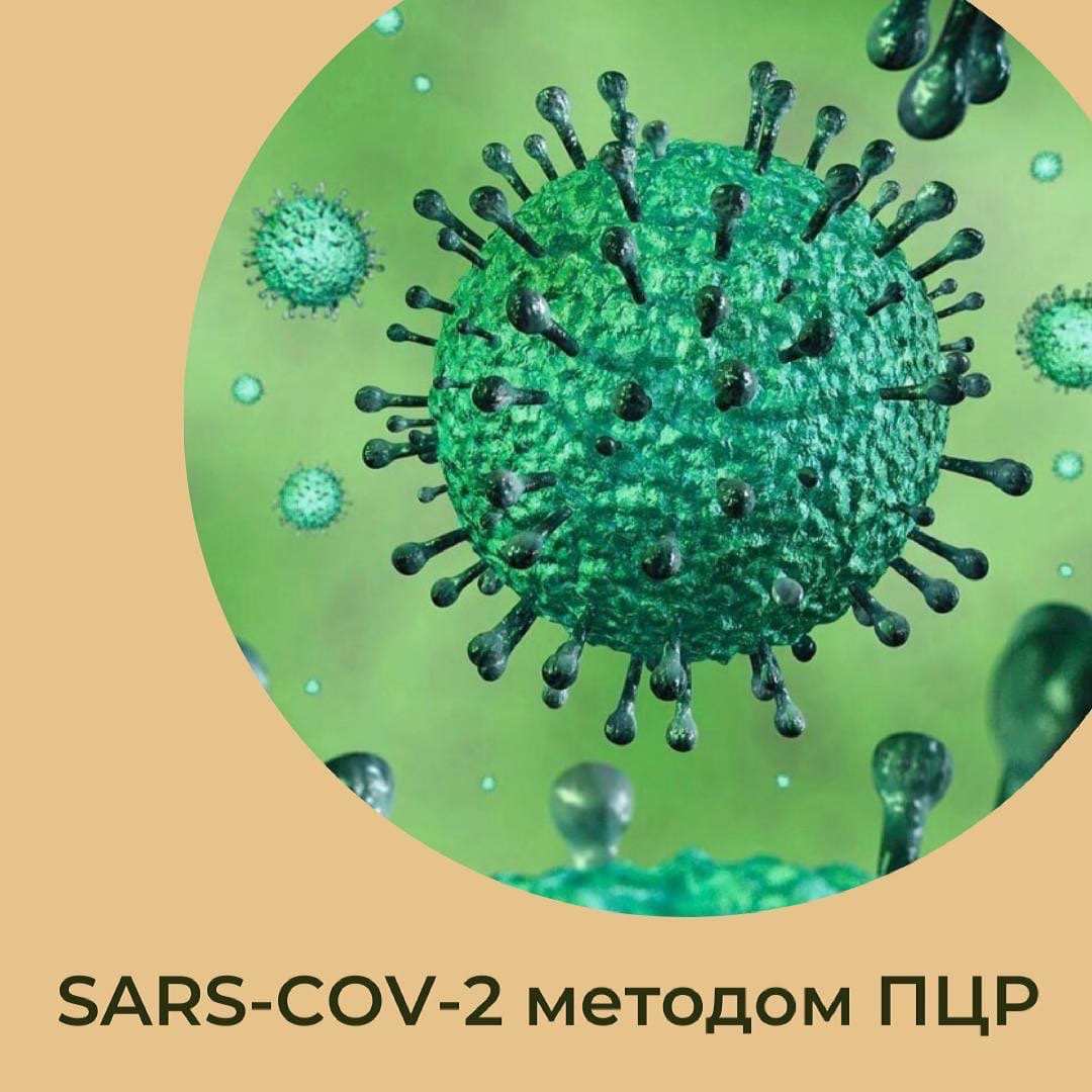 Анализ на коронавирус методом ПЦР теперь и в «Эвкалипте»!