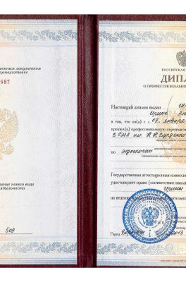 Шкурина Ирина Александровна
